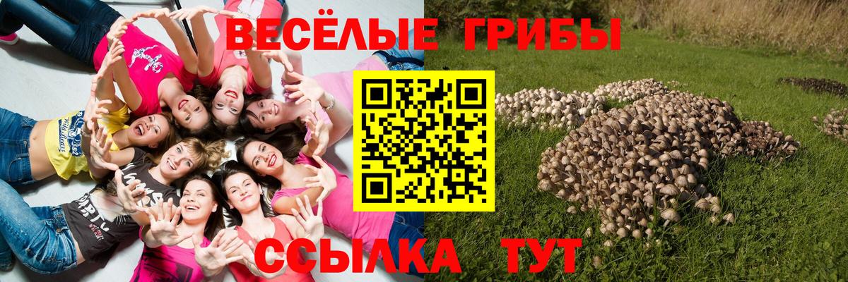 Галлюциногенные грибы GOLDEN TEACHER  Вход с VPN  Алексин  Галлюциногенные грибы Magic Shrooms 