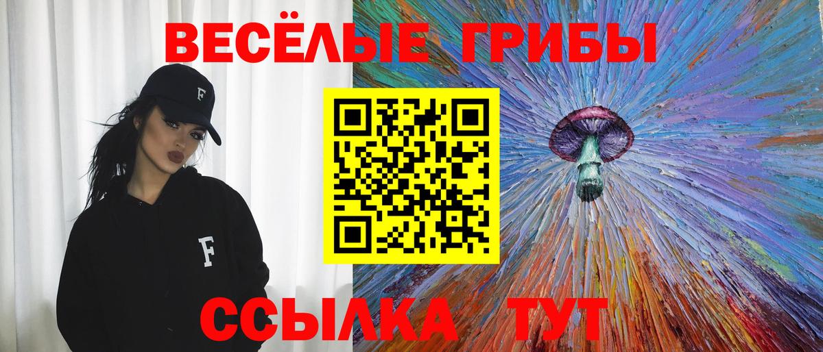 Псилоцибиновые грибы Psilocybe Алексин